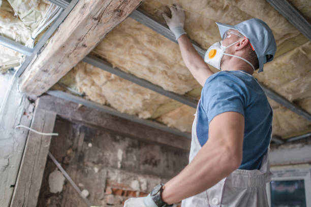 Best DIY Insulation Kits and Guidance in Hickory Hls, IL